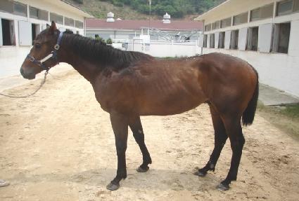 �ް����� ����