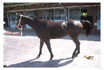 �������� (SEONBONGYEOJE) ����