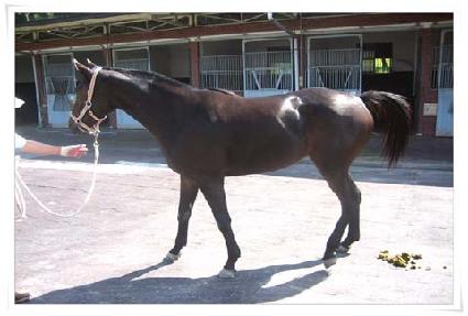 �������� ����