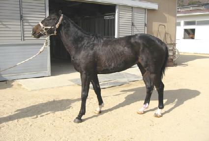 �Ѱ��ʿ� ����