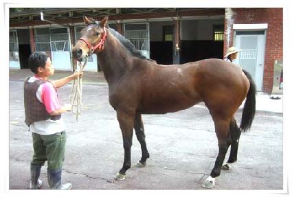 �������� ����