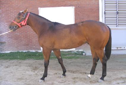 �������� ����