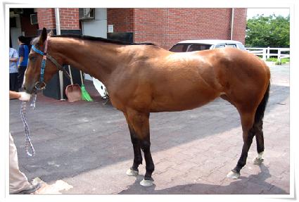 �ڸ��ȴ��� ����