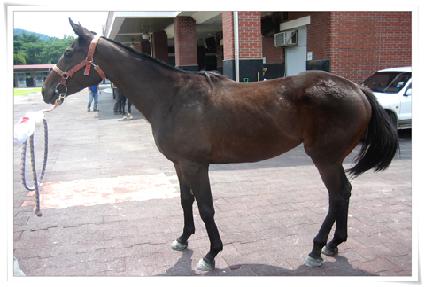 ������� ����