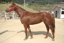 �������� (BORYEONG JUJA) ����