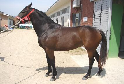 �޸����� ����