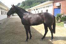 ��θ��� (BAEKDU MAWANG) ����