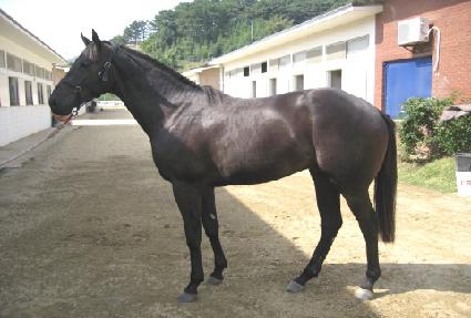 ��θ��� ����