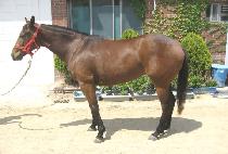 �Ƹ��ٿ�� (AREUMDAUN YEOJE) ����