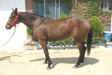 �Ƹ��ٿ�� ����