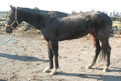 �ȼ����� ����