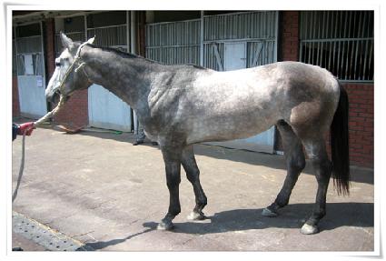 �ö�����ġ ����