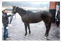 Ȧ������ƾ (HOLY MOUNTAIN) ����