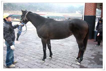 Ȧ������ƾ ����