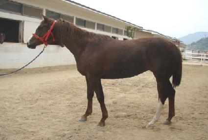 ���̾������ ����