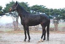 �������� (GEOMEUN NABI) ����