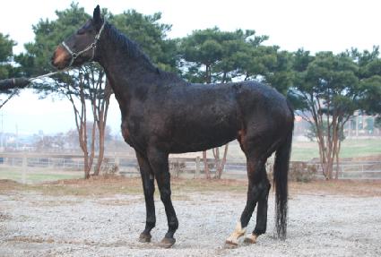 �������� ����