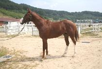 ���Ʒ����� (YOU ARE LEGEND) ����