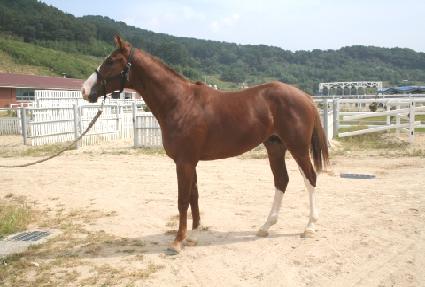 ���Ʒ����� ����