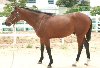 �ܵ����� ����