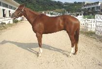 �̽ô뿵�� (ISIDAE YEONGUNG) ����