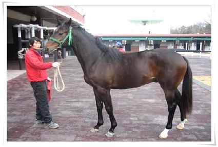 ���Ͷ��� ����