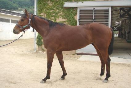 �����Ǻ� ����