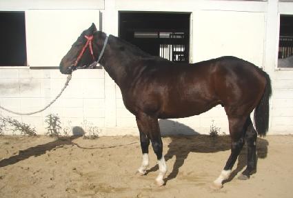 �������� ����