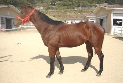 ����ǰ ����