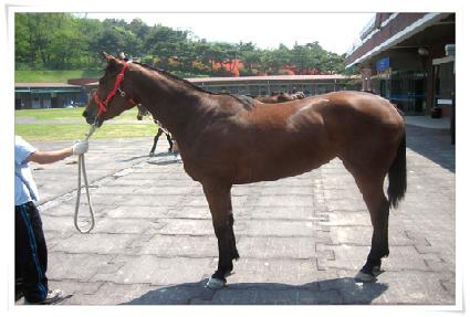 �ٴٿ��� ����