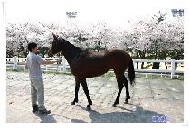 Ŭ�������� (CLEAN ENERGY) ����