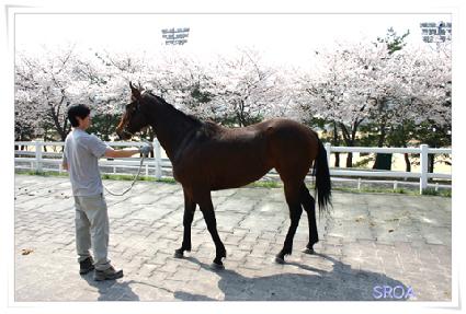 Ŭ�������� ����