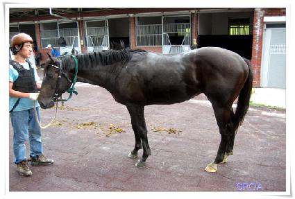 ��¡�ǿ��� ����