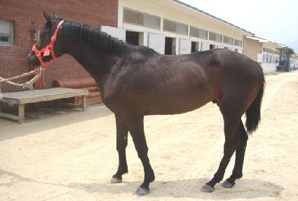 �ΰ���� ����