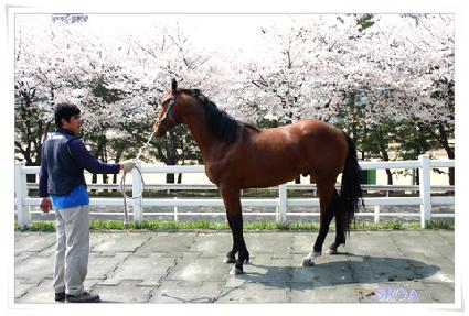 ����ǳ ����