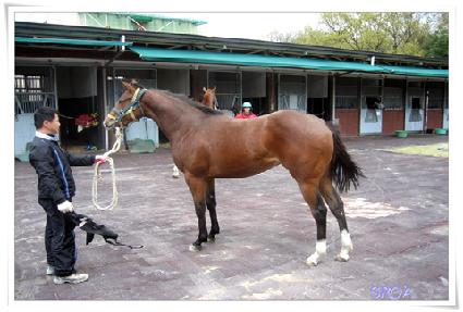 ���˰��� ����