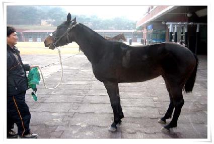 �¸����� ����