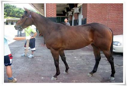 ���￡�̽� ����