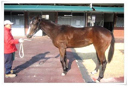 �ż����� ����