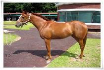 �����Ʊ׳׽� (SEONBONG AGNES) ����