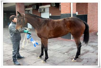 ��ũ�ε� ����