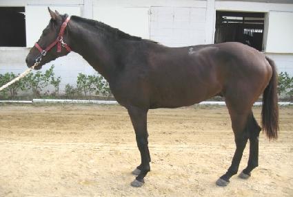 �����ϵ� ����