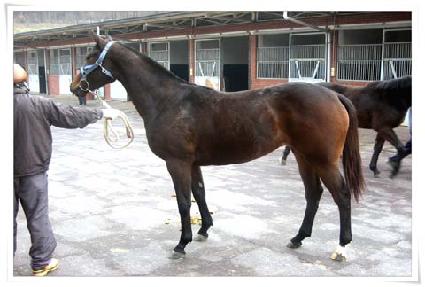 �������� ����