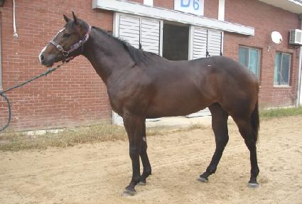 Ȧ�������� ����