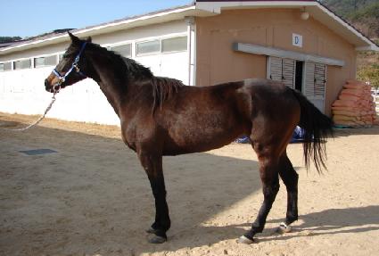 ��ǳ���� ����