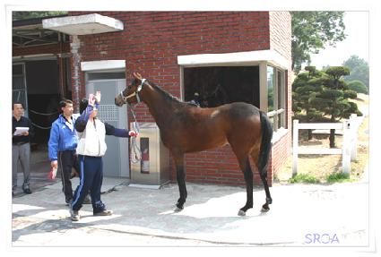 ��ڼҸ� ����