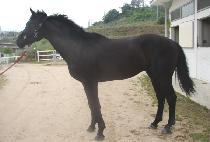 ��ũ����� (DARK HERO) ����