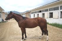 ��õ�ŵ� (SINCHEON SINDONG) ����