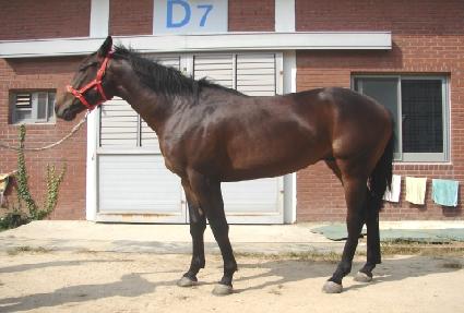 �������� ����