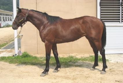 �ְ���ȭ ����